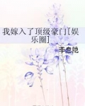 我嫁入了顶级豪门