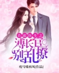 首席医生:溥长官,别乱撩