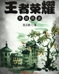 王者荣耀外挂风波