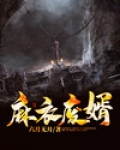 麻衣废婿