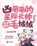 凶萌萌的星际元帅是团傲娇毛绒绒