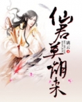 仙君莫胡来