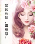禁欲总裁，请息怒！