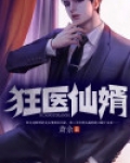 狂医仙婿
