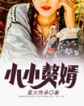 小小赘婿