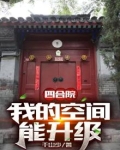 四合院:我的空间能升级