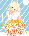 重生九零:兴风作浪小团宠