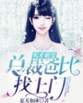 天才萌宝:总裁爸比找上门
