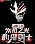 死神:我用DNF分身做幕后大佬