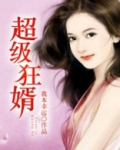 超级狂婿