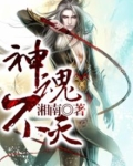 神魂不灭