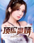 顶级豪婿