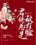 君侯总是被打脸