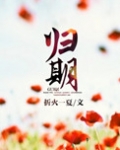 归期（离婚后的故事）