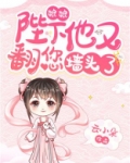 娘娘,陛下他又翻您墙头了!