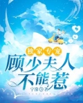 独家专宠:顾少夫人不能惹