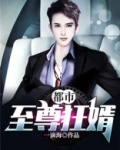 都市至尊狂婿