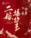二嫁摄政王