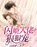 闪婚大佬狠狠宠