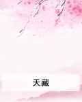 天藏