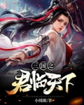 三国之君临天下