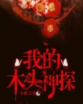 我的木头神探