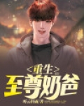 重生至尊奶爸