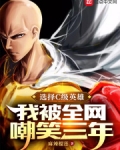 选择C级英雄,我被全网嘲笑三年