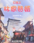 红楼之林家赘婿