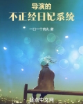 导演的不正经日记系统