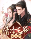 清冷王爷宠毒妃