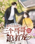 重生后我被三个哥哥追着宠