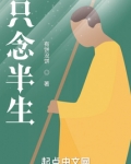 只念半生