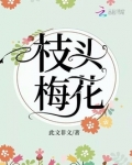 枝头梅花